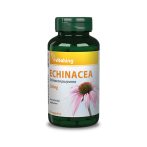 Vitaking Echinacea Bibor Kasvirág kapszula 90db